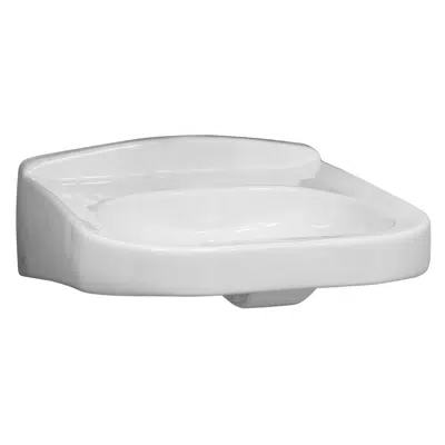 Image for Z5320 Wall Hung Wheel Chair Lavatory