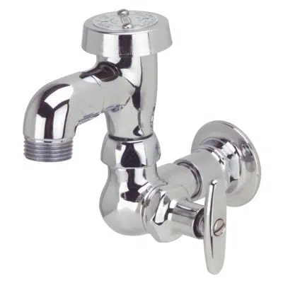 Image for Z875L7 Bedpan Washer with a 2-1/2" Vacuum Breaker Spout