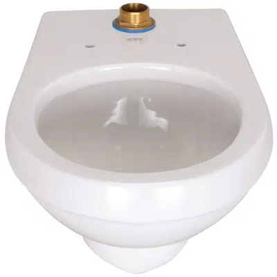 Z5615-BWL EcoVantage® HET Wall Hung Toilet System 이미지