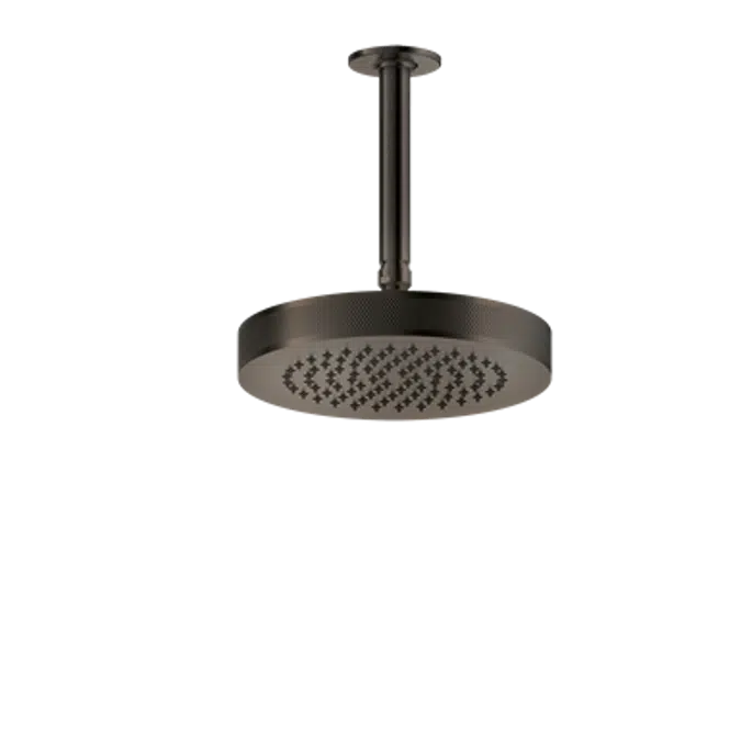 INCISO L - Ceiling-mounted adjustable and antilimestone showerhead - 58186