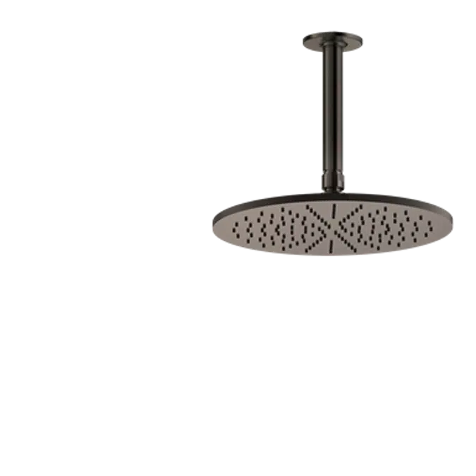 INCISO L - Ceiling-mounted adjustable and antilimestone showerhead - 58252