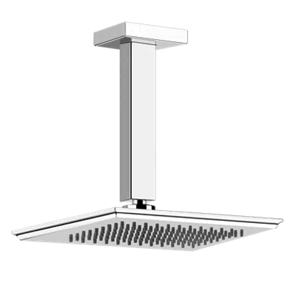 bild för ELEGANZA - Wall-mounted adjustable and antilimestone showerhead - 46152
