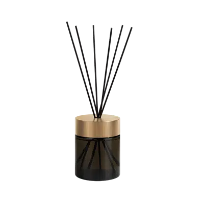 FRAGRANCES-环境清香扩散器 RIGATO 3000 毫升 - 68505图像