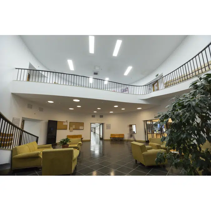 Downlight Slim Round