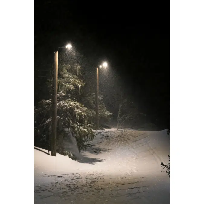 Streetlight Flex Small