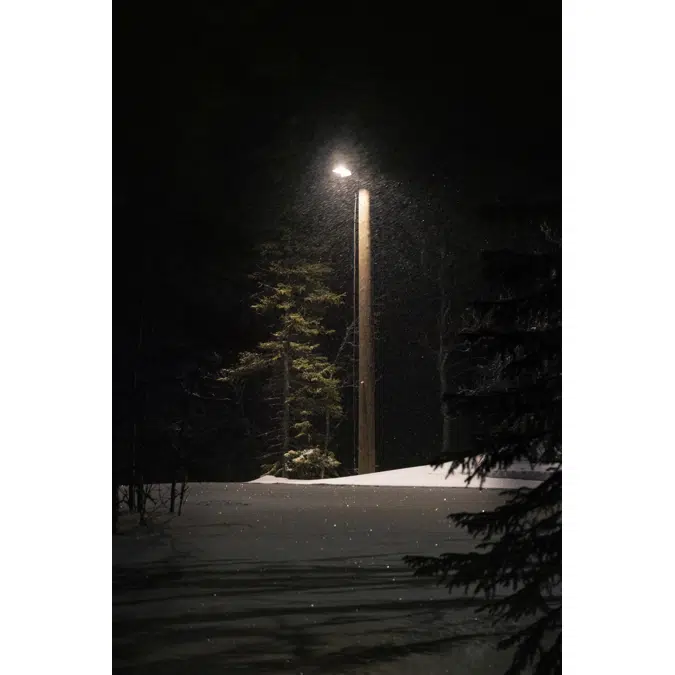 Streetlight Flex Small