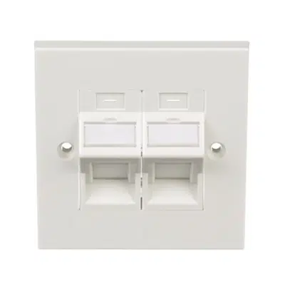 Immagine per Keystone 2-Position 45-Degree Shuttered 86mm X 86mm Flush Faceplate Assembly