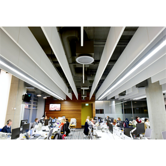 Ecophon Master Acoustic Ceiling Baffles Shelly Lighting