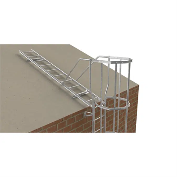 Cat ladder with bracket set 300 mm