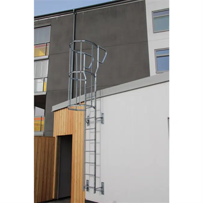 Cat ladder with bracket set 300 mm