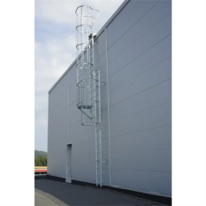 Cat ladder with bracket set 300 mm