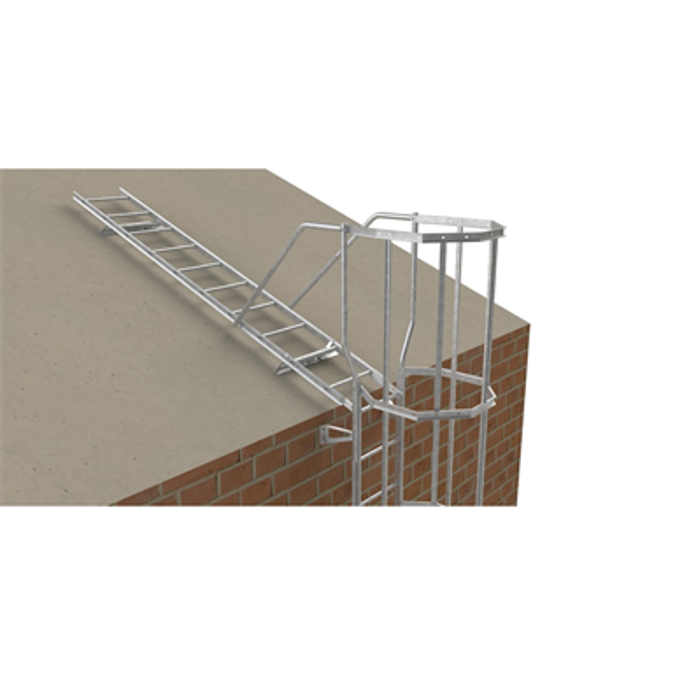 Cat ladder with bracket set 450-700 mm