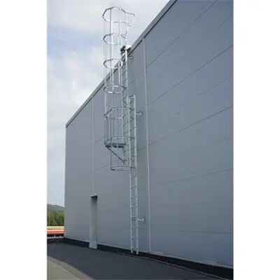 Cat ladder with bracket set 450-700 mm