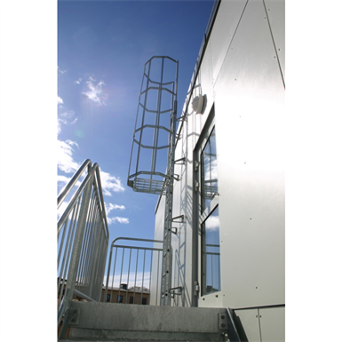 Cat ladder with bracket set 700-1000 mm