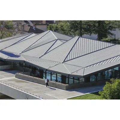 Immagine per ZINC roofing - Compact standing seam roof