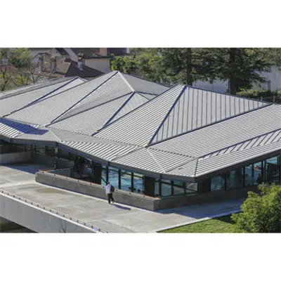 afbeelding voor ZINC roofing - Compact standing seam roof