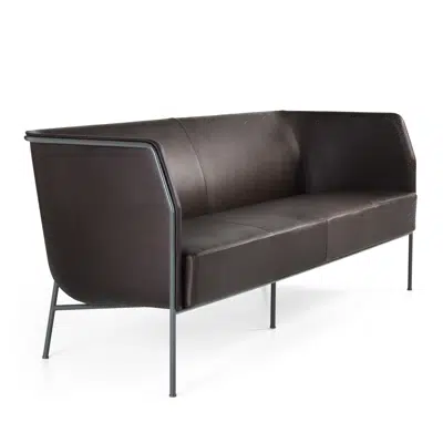 Cajal Sofa Large图像