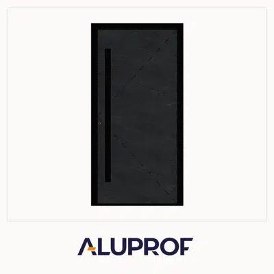 MB-79N SI Panel Door Single AD45 Inward/Outward Opening图像