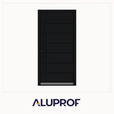 MB-79N SI Panel Door Single AP23 Inward/Outward Opening图像