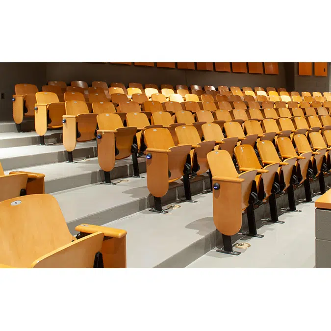 Auditorium seating discount with tablet arm