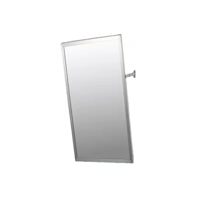 obraz dla Accessible Mirror Series Stainless Steel Frame Adjustable Tilt Mirror - 16" x 30" Surface Mounted