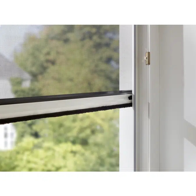 Insect screen roller blinds