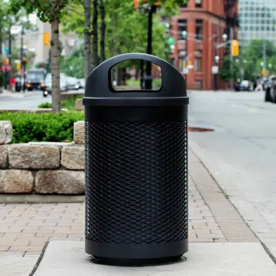 Image for Toronto Series | Sustainable City Series