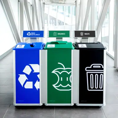 Image for Mosaic Series