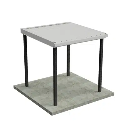 Immagine per Basic Canopy