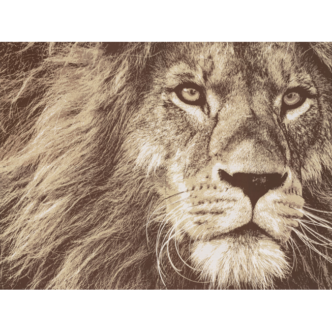 Art panel with  Lion design [ Lion ]