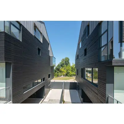 Image for Exterior Cladding System - Pine Wood for ventilated façade with visible fixing