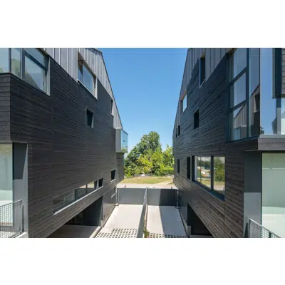 obraz dla Exterior Cladding System - Pine Wood for ventilated façade with visible fixing