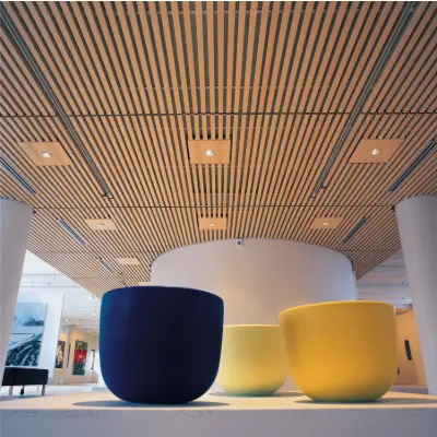Image pour Dalhem Ribba Ceiling wood slat