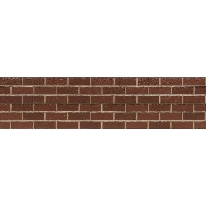 Plymouth Brick