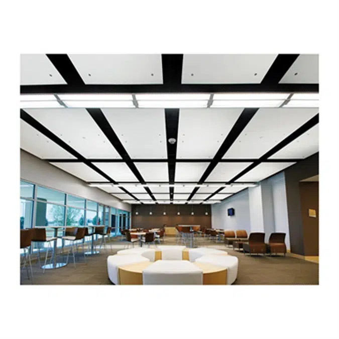 Capz™ MetalWorks™, Optima®, and Spectra™ Acoustical Ceiling System