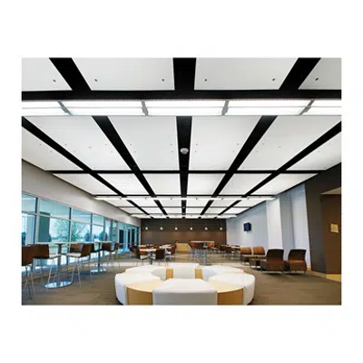 Image for Capz™ MetalWorks™, Optima®, and Spectra™ Acoustical Ceiling System