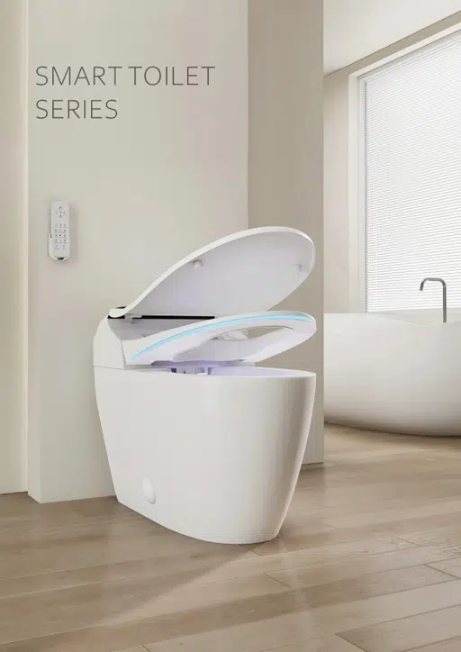 Smart Toilet