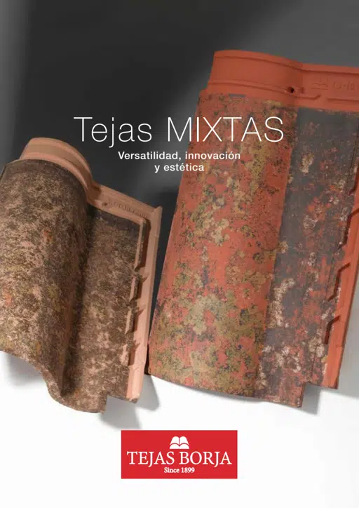 Folleto-MIXTAS-2023-Cast.pdf