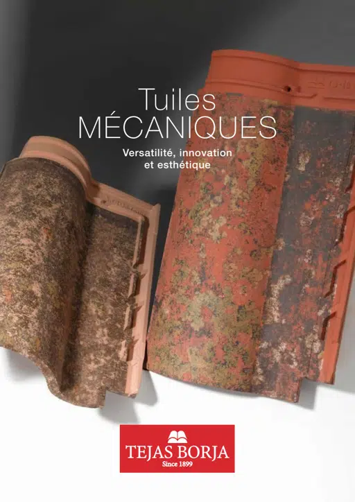Folleto-MIXTAS-2023-Fran (2).pdf