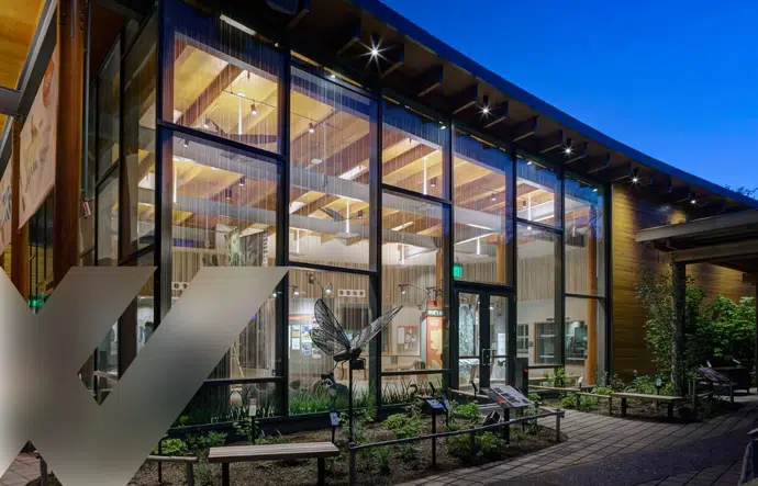 Acid Etched and Bird Friendly Architectural Glass