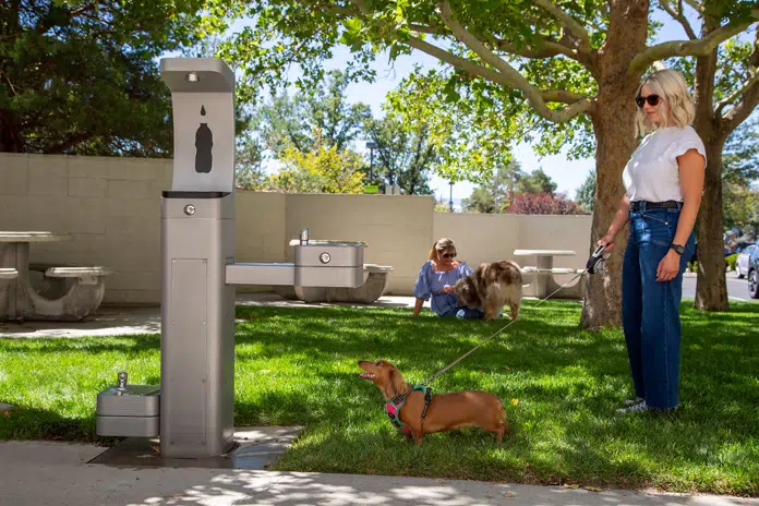 Outdoor Drinking Fountains and Bottle Filling Stations