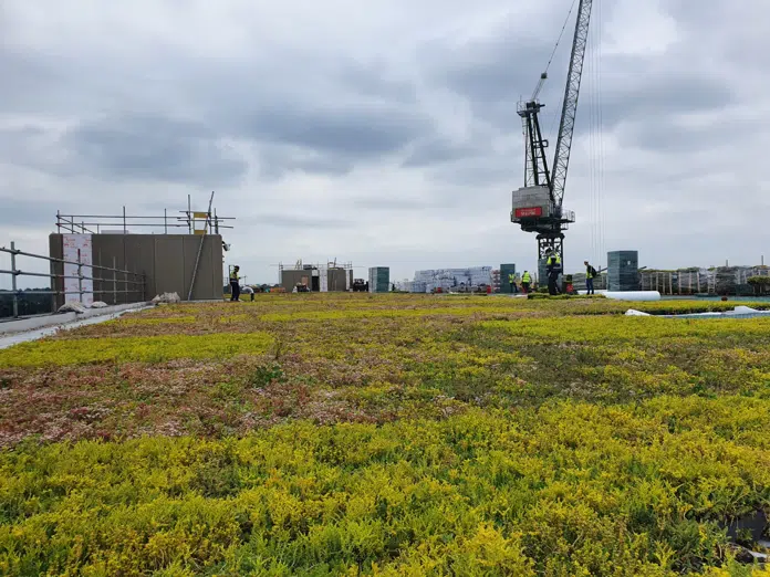 Green Roof - Green Roof Systems