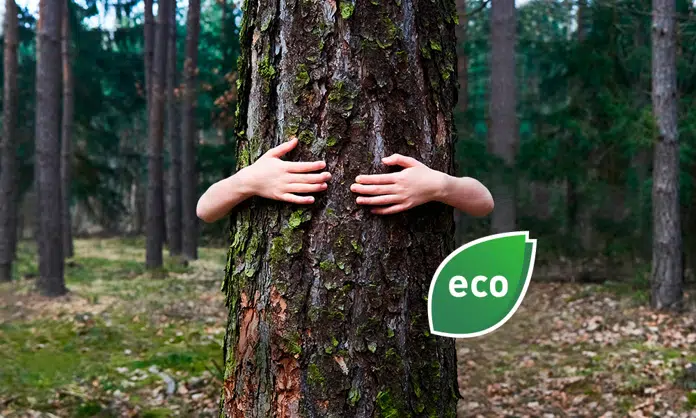 Explore our Eco Choice fleet - A better choice for our environment