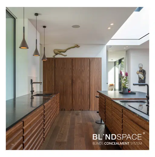Blindspace Brochure .pdf