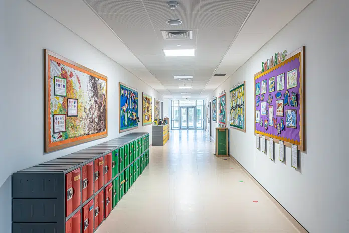  DANOLINE Acoustic Ceiling & Wall Solutions