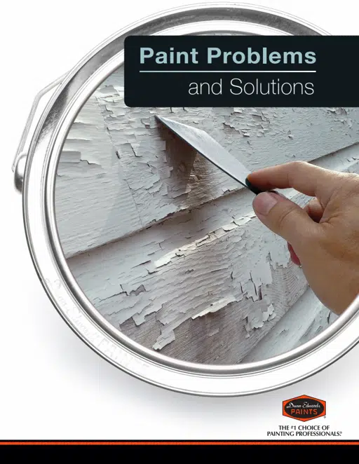 Paint_Problems___Solutions.pdf