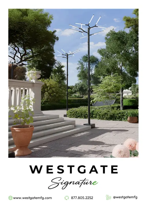 Signature Collection Catalog