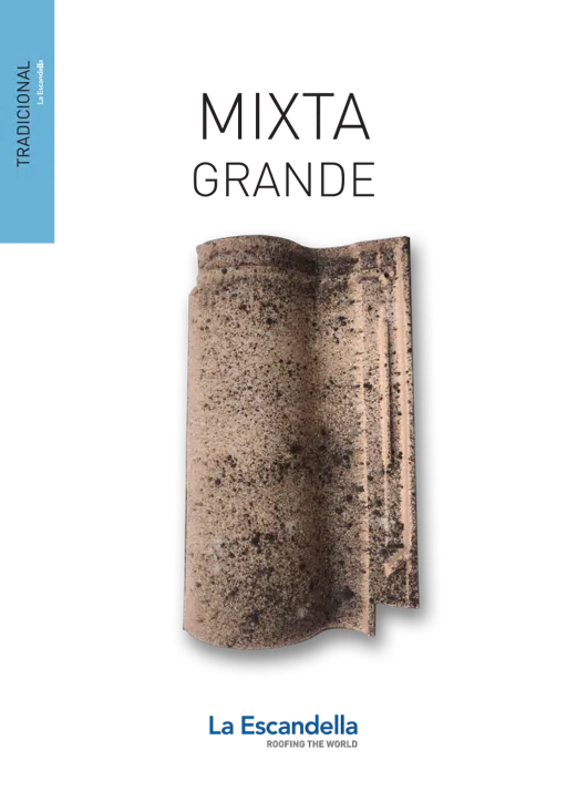 Mixta Grande.pdf