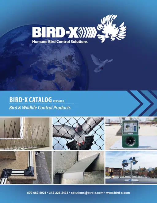 Bird-X