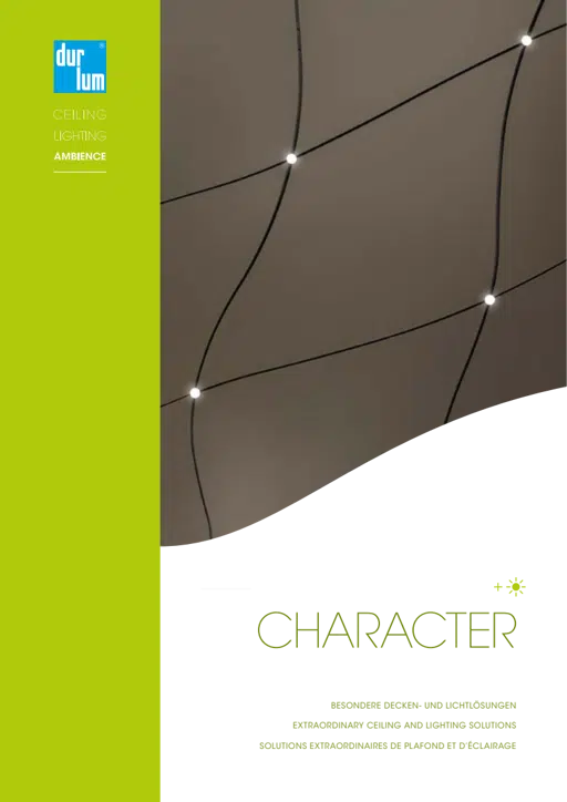 durlum_Character.pdf